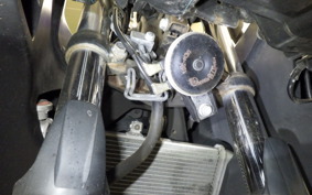 YAMAHA YZF-R25 RG43J