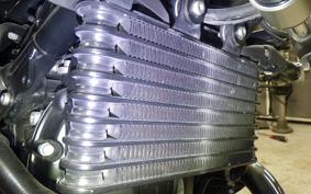 BMW R NINE T 2021