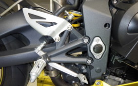 TRIUMPH DAYTONA 675 SE 2013