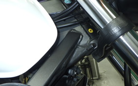 HONDA HORNET 250 MC31