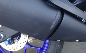 YAMAHA YZF-R25 RG74J