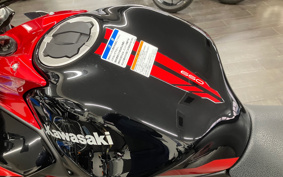 KAWASAKI Z650 2025 ER650S