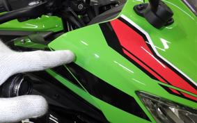 KAWASAKI ZX-4R SE 2025