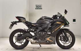 KAWASAKI ZX-25R 2009 ZX250E