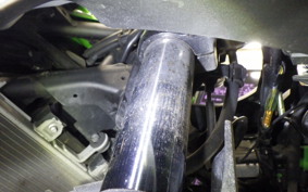 KAWASAKI NINJA 250 EX250P