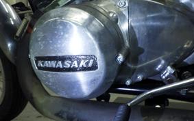 KAWASAKI 350SS 2024 S2T