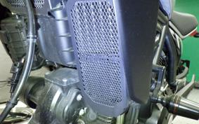 DUCATI SCRAMBLER ICON 2023