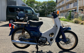 HONDA SUPER CUB50 C50