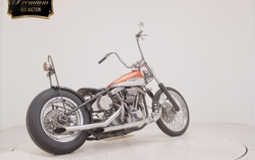 OTHER UNREGISTERED MODEL by BDS1200 2023