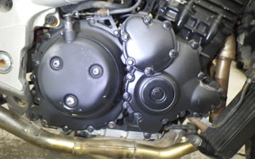 TRIUMPH SPEED TRIPLE 2001