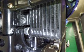 SUZUKI GIXXER 250 2025 ED22B
