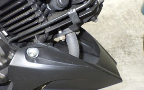 KAWASAKI Z125 PRO 2022 BR125H