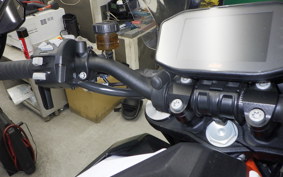 KTM 1290 SUPER DUKE R 2021