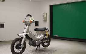 HONDA LITTLE CUB 2019 AA01