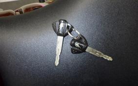 SUZUKI HAYABUSA Gen.2 2009