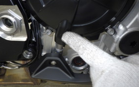 BMW S1000RR M DDC 2024