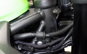 KAWASAKI ZX-4RR 2025 ZX400P