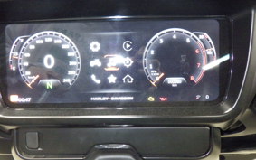 HARLEY FLHX1920 2024