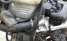 HONDA VFR800 2003 RC46