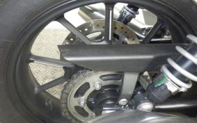 TRIUMPH SPEED TWIN 900 2024