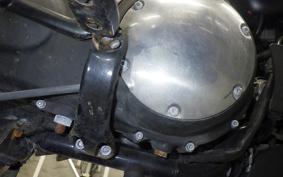 HARLEY XL883N 2019