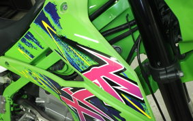 KAWASAKI KLX250 Gen.2 2023 LX250S