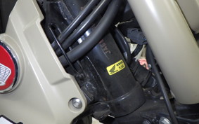 HONDA CT125 HUNTER CUB 2025 JA55