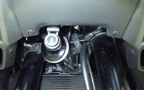 HONDA NT1100 2024 SC84