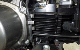 KAWASAKI Z125 PRO 2024 BR125H