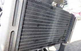 HONDA HORNET 250 MC31