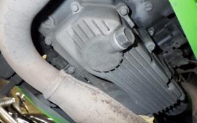 KAWASAKI NINJA 250 EX250L