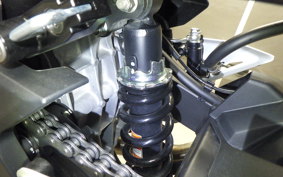 KAWASAKI NINJA 250 2019 EX250Y