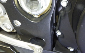 SUZUKI GSX-R1000 2010
