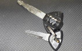 SUZUKI GSX250RA 1991