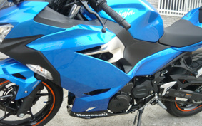 KAWASAKI NINJA 250 ABS EX250P