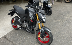 KAWASAKI Z125 PRO BR125H