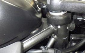 KAWASAKI ZX-4R SE 2023 ZX400P