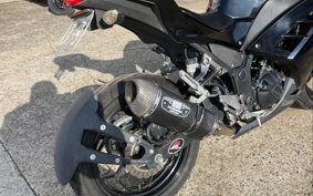 KAWASAKI NINJA 250 EX250L