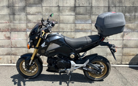 HONDA GROM JC61