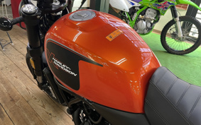HARLEY X500 2024 W5B