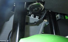 KAWASAKI ZX-4RR 2024 ZX400P