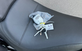 HARLEY  HARLEY FLSB 2025 YMJ