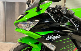 KAWASAKI NINJA ZX-6R 2022 ZX636G
