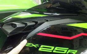 KAWASAKI ZX-25R 2018 ZX250E