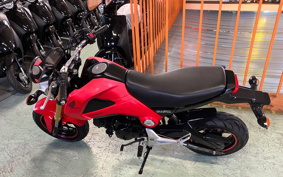HONDA GROM JC61
