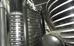 HARLEY FXBRS1870 2020