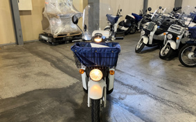 HONDA  BENLY  PRO  AA05