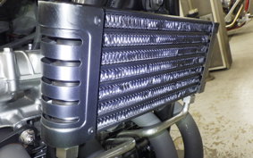 KAWASAKI ZEPHYR 750 2026 ZR750C