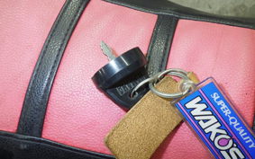 YAMAHA WR250F 2024 CG11W