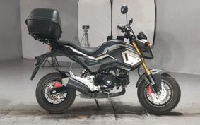HONDA GU ROM JC75